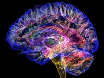爱AV导航大脑植入物有助于严重头部损伤恢复